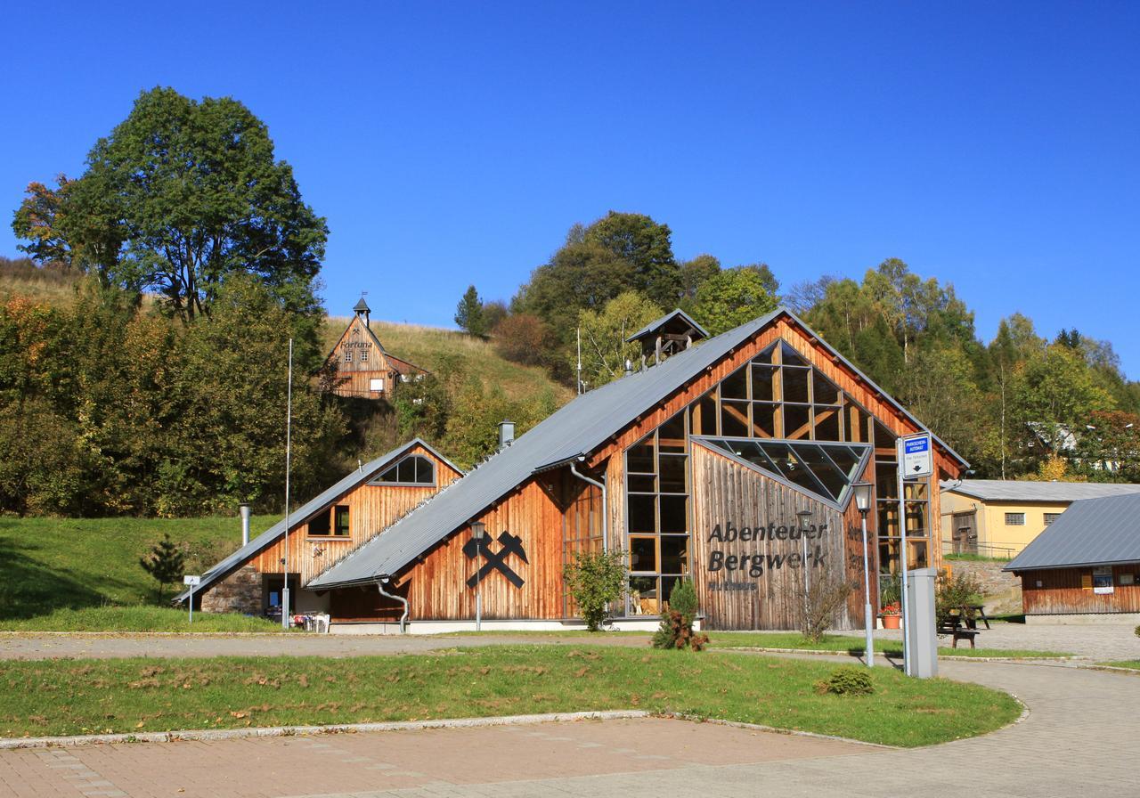 Ferienhaus Erzgebirge "An Der Trebe" Mit Kamin Und Sauna Neuhausen  Exterior photo